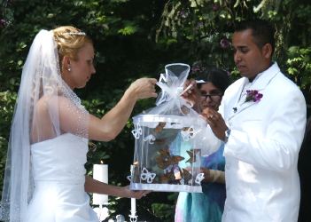 butterfly release